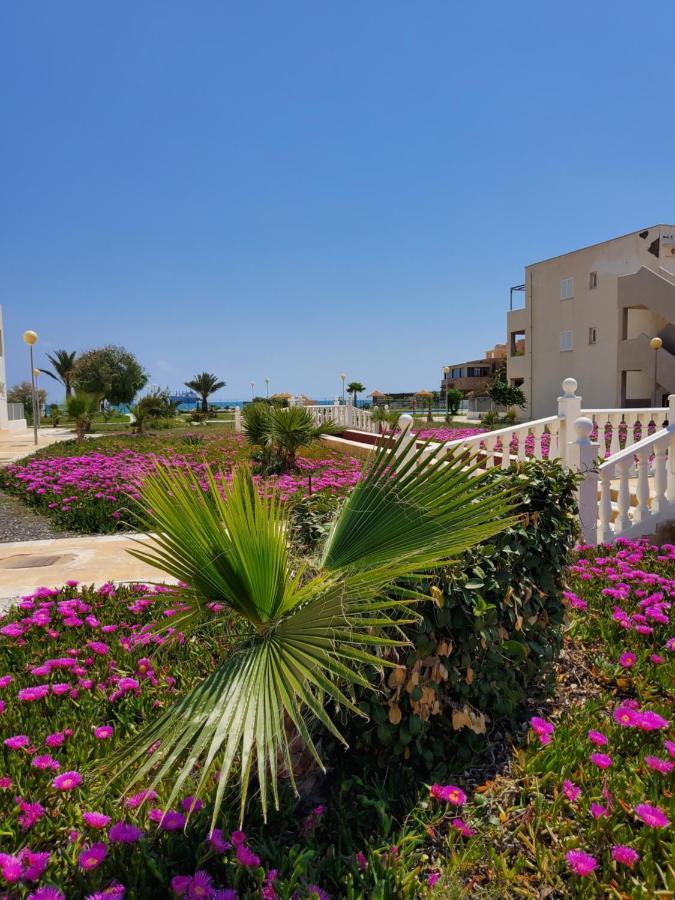 Apartamento Naturista En Primera Linea En Natura World! Vera Eksteriør billede
